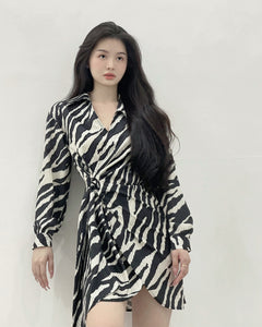 ZEBRA GRAPHIC PRINT DRESS